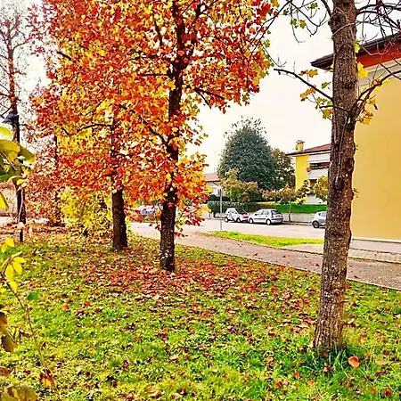 Hotel Naonis 3*